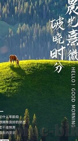 麻豆av免费版-流派之外，揭开网络欲望的模糊图谱